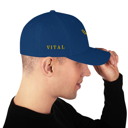 Vital Ball Cap