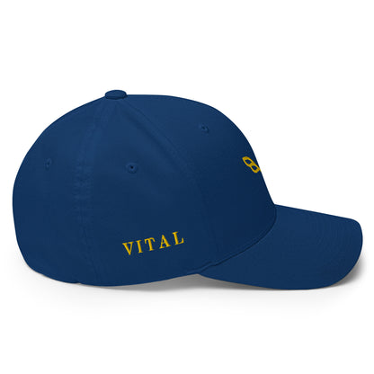 Vital Ball Cap